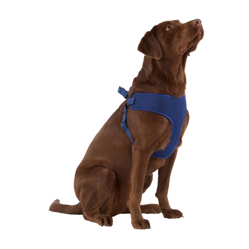 Top Paw® Mesh Comfort Dog Harness (Color: Navy, Size: Medium)