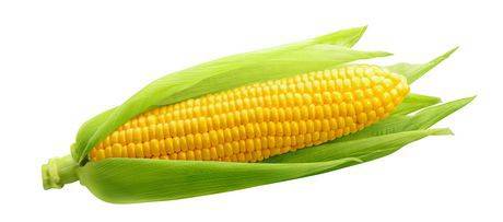 Produce Bi-Colour Corn