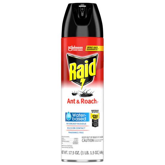 Raid Sc Johnson Ant & Roach Indoor Bug Spray