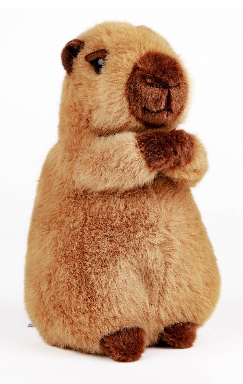 Douglas Chattie Capybara Mini