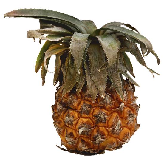 Frieda's Pineapple