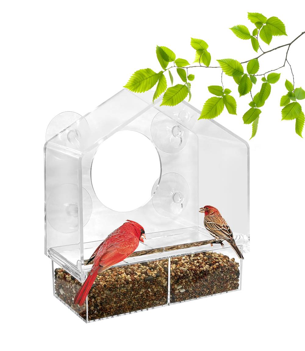 Style Selections Birdfeeder Plastic Window-mount (suction Cup) Window Bird Feeder- 0.625-lb | 240521EX01A