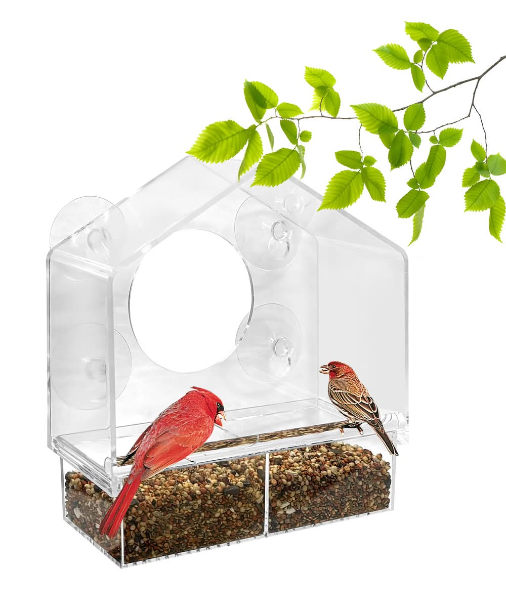 Style Selections Birdfeeder Plastic Window-mount (suction cup) Window Bird feeder - 0.625-lb