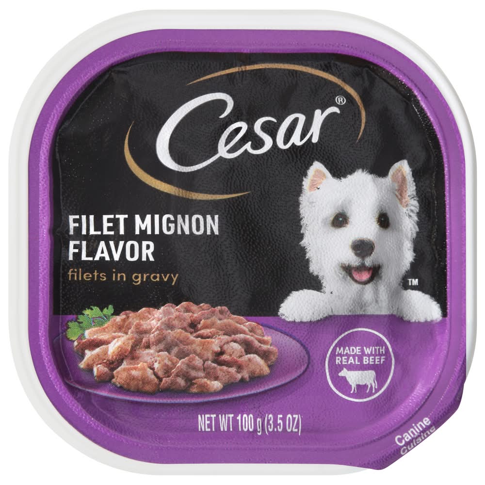 Cesar Filets in Gravy Canine Cuisine Wet Dog Food, Filet Mignon (3.5 oz)