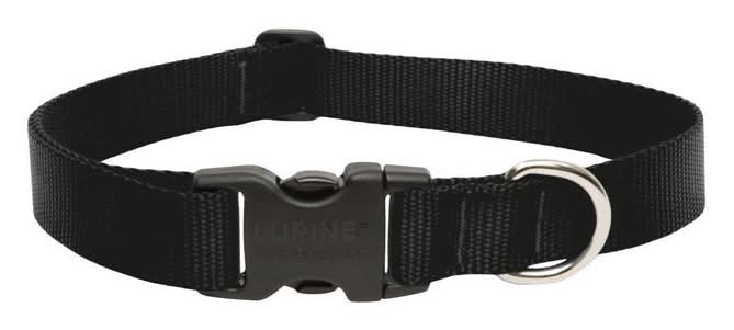 Lupinepet Basic Solids Black Black Nylon Dog Adjustable Collar