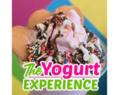 The Yogurt Experience (14241 West State Highway 29)