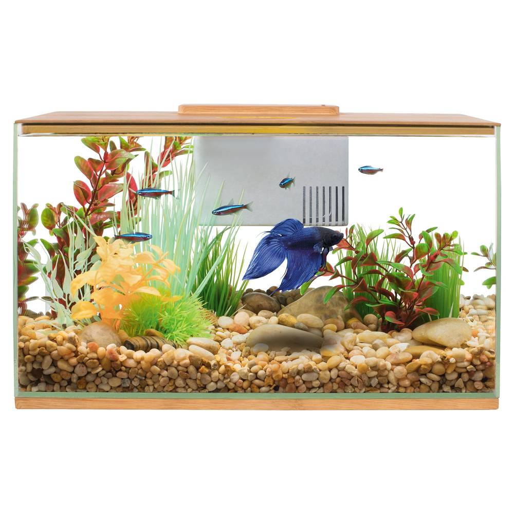 Top Fin Betta Bamboo Aquarium