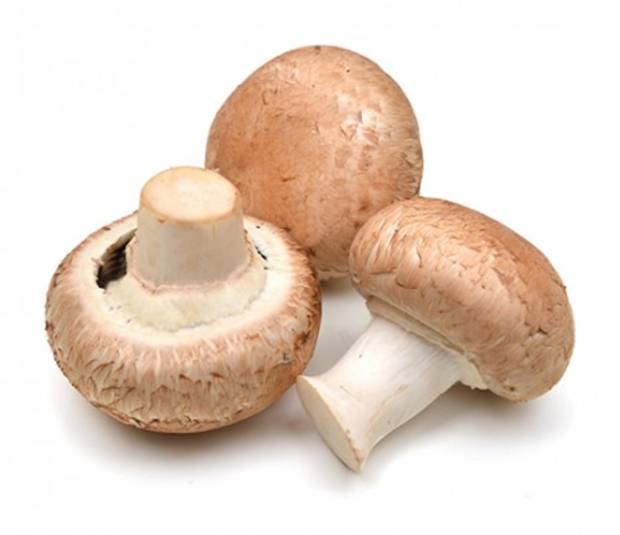 Champignon paris - les 250g