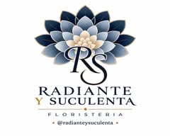 Flores Radiante y Suculenta (Puente Alto)