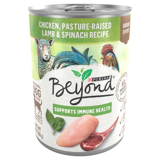 Beyond Chicken, Lamb & Spinach Ground Entree (13 oz)