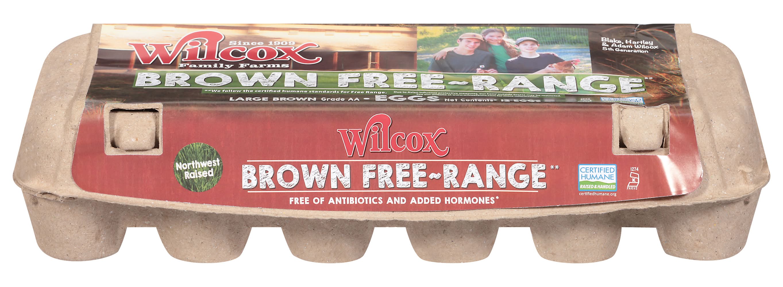 Wilcox Family Farns Free-Range Large Eggs, Brown (2.72 oz, 12 ct)