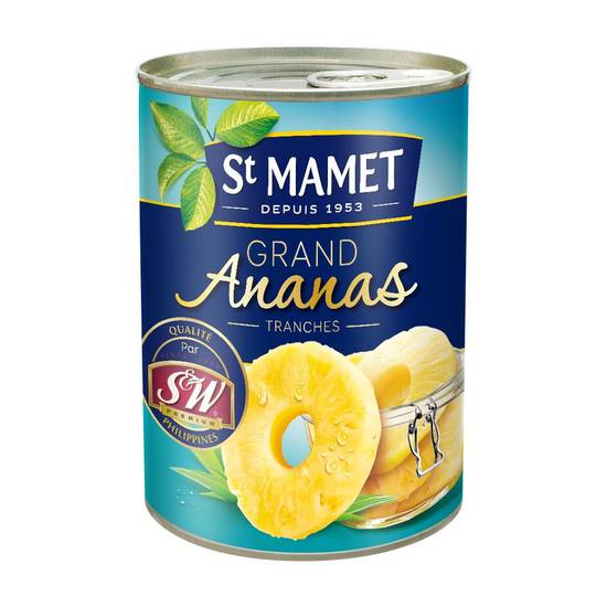 Ananas au sirop tranches Saint mamet 570g