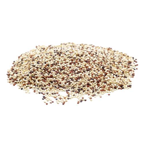 Organic Tri Color Quinoa