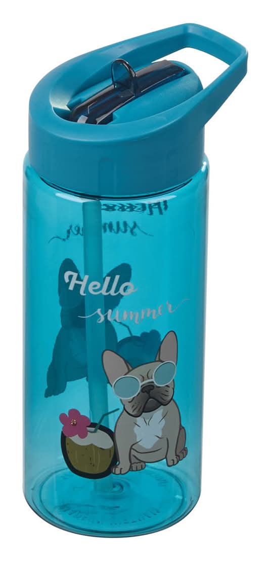Printed Flip-Top Water Bottle With Straw 16 Oz 3 Assorted Designs