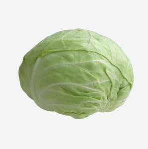 Chou vert - Green cabbage
