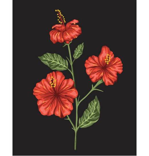 8" X 10" Hibiscus Paint-By-Number Kit With Wood Display Hanger By Artist'S Loft