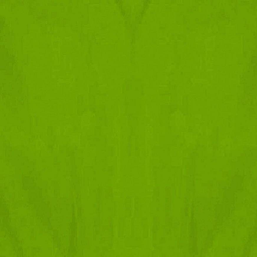 Lime Tissue Paper 8ct