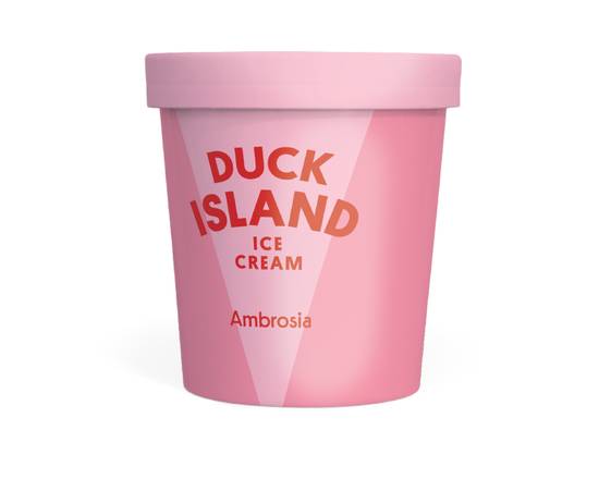 Duck Island Ice Cream - Ambrosia