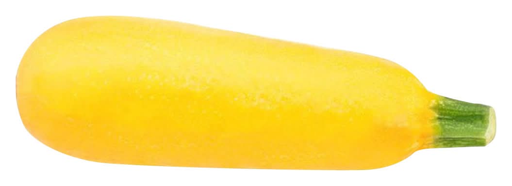 Fresh Squash Yellow 20 Oz