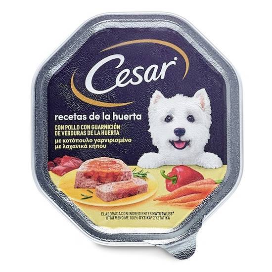 Alimento para perros con pollo Cesar tarrina 150 g