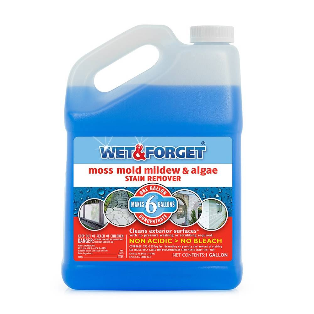 Wet and Forget 1-Gallon Multi-surface Concentrated Outdoor Cleaner | 800006