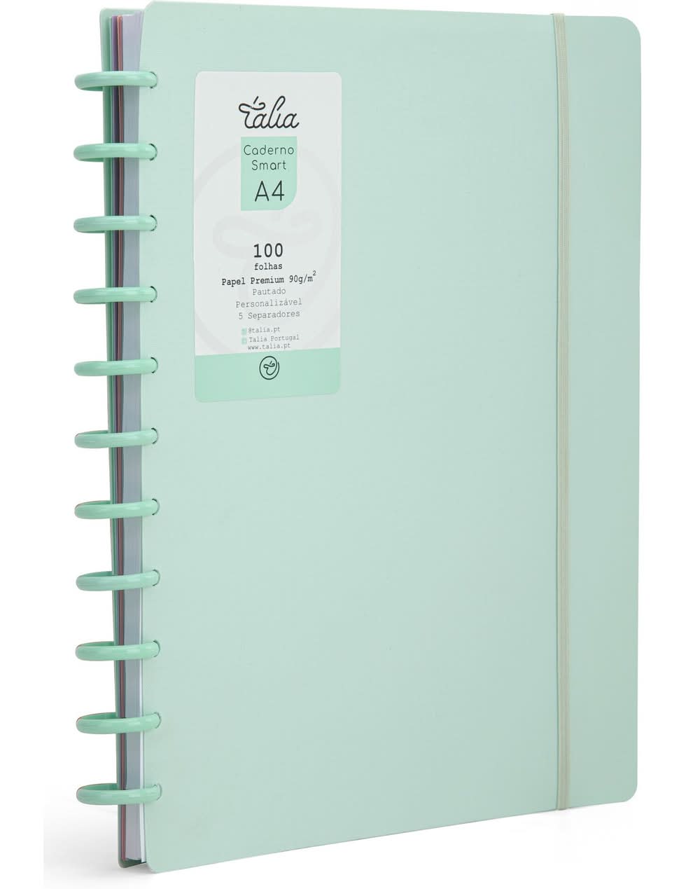 Caderno Smart A4 com Elástico 100 Folhas Verde Pastel Talia