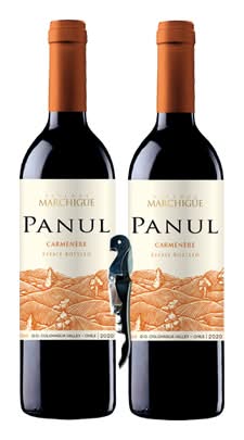 2 pack panul cabernet sauvignon