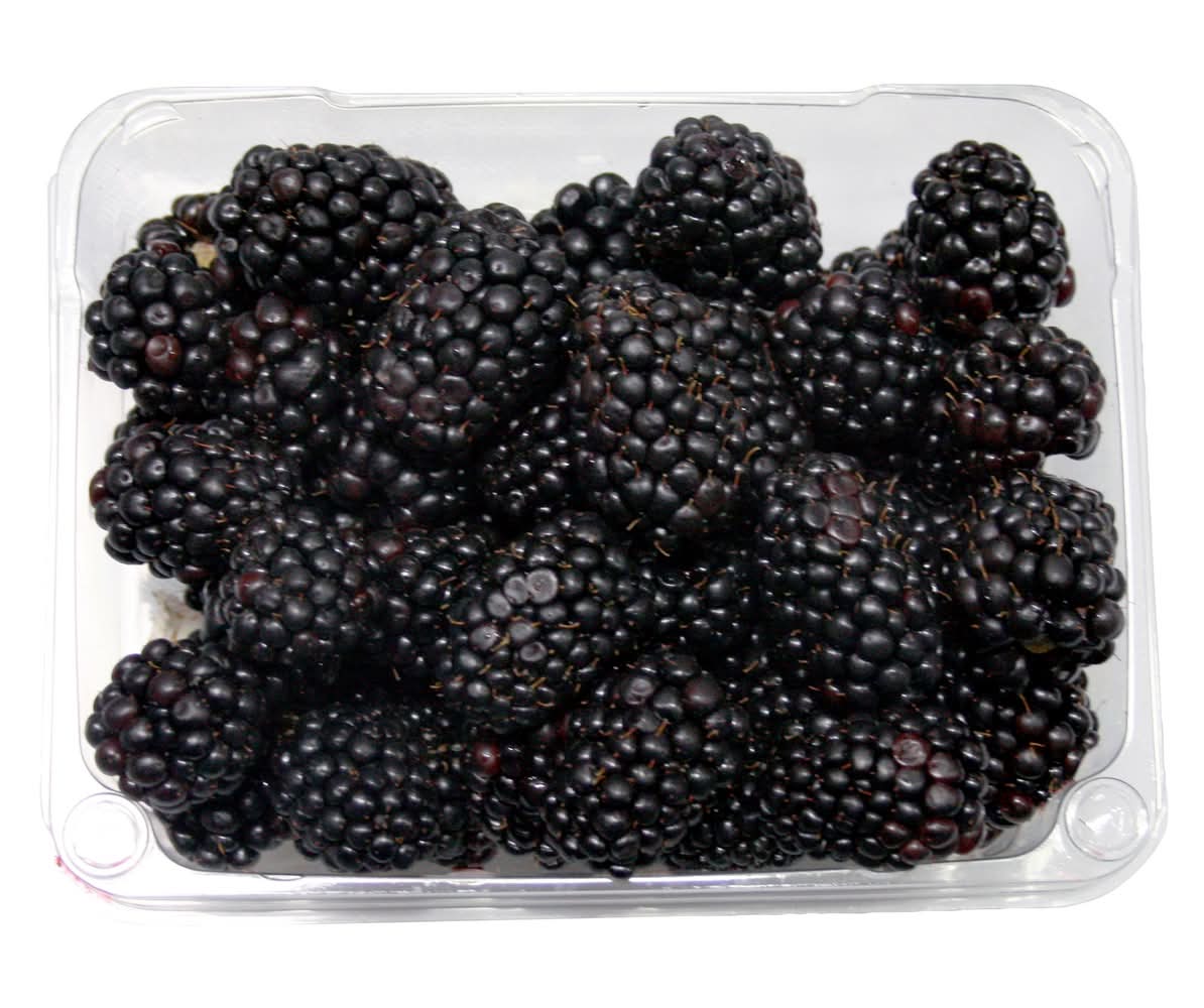 Mûres Sweet Karoline / Sweet Karoline Blackberries