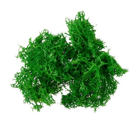 Make Market Mini Scenery Plants, Green