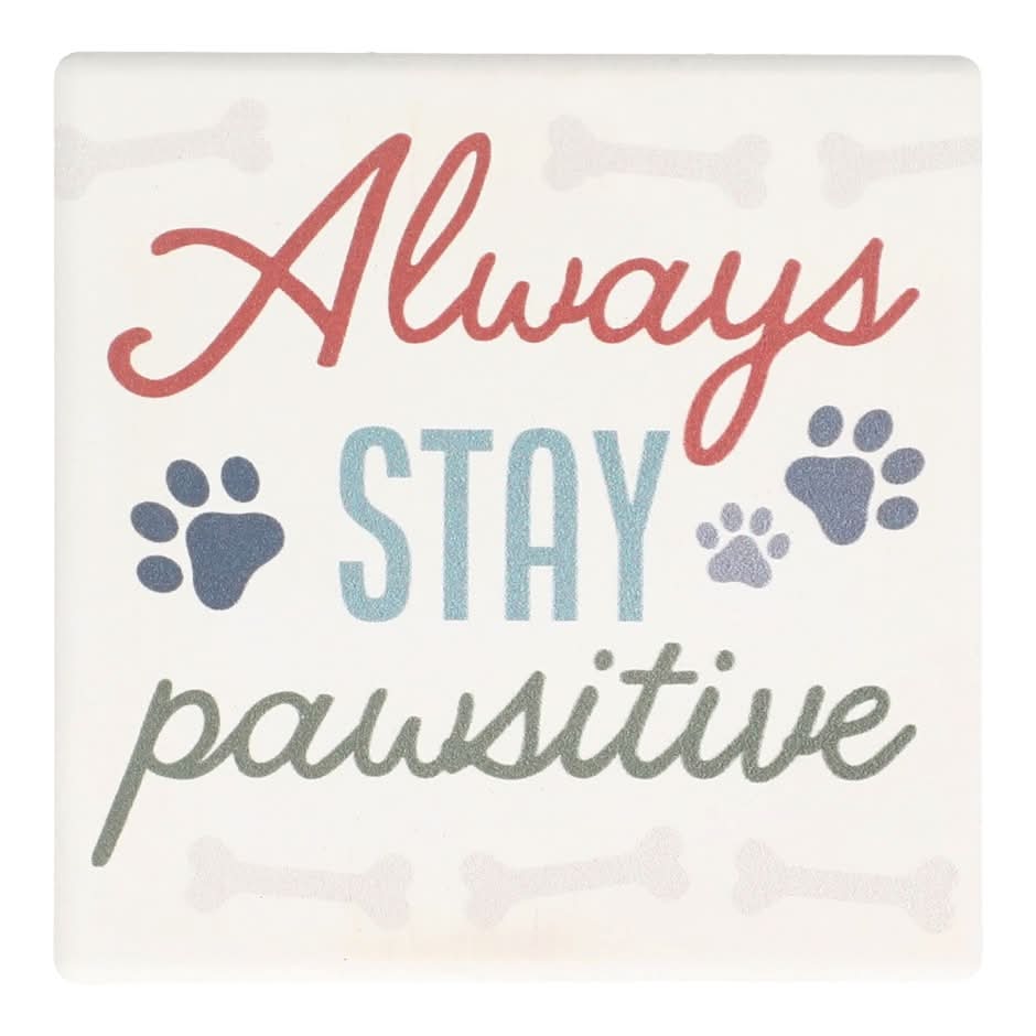 Always Stay Pawsitive Coasters