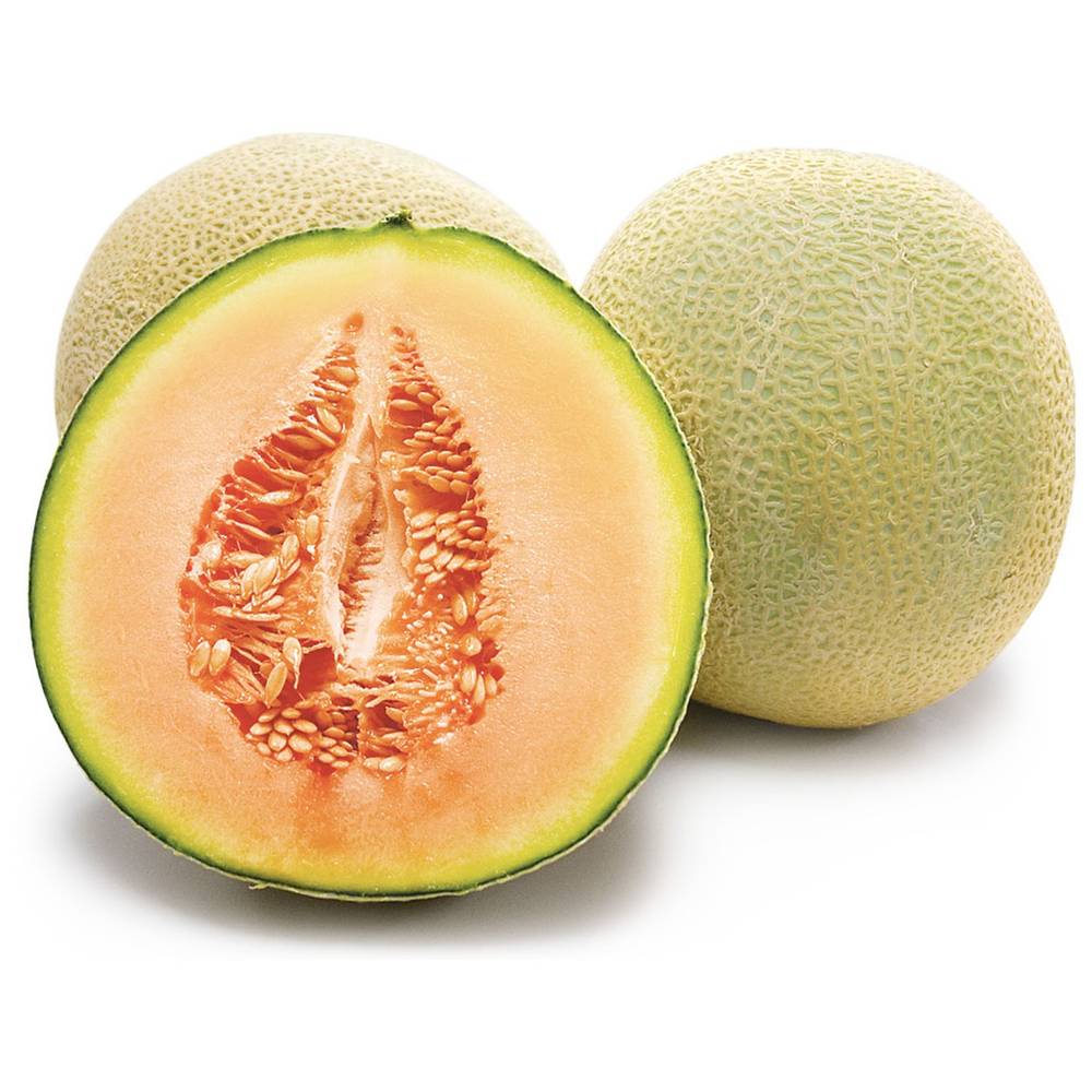 Cantaloupe