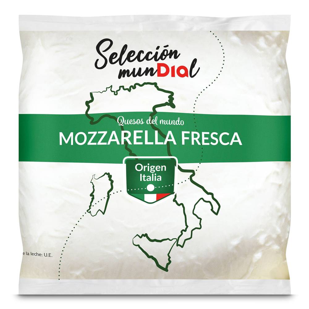 Queso Mozzarella Fresca Selección Mundial De Dia Bolsa 125 G