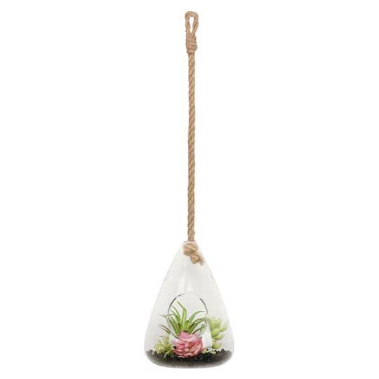 7" Succulent In Hanging Glass Terrarium By Ashland