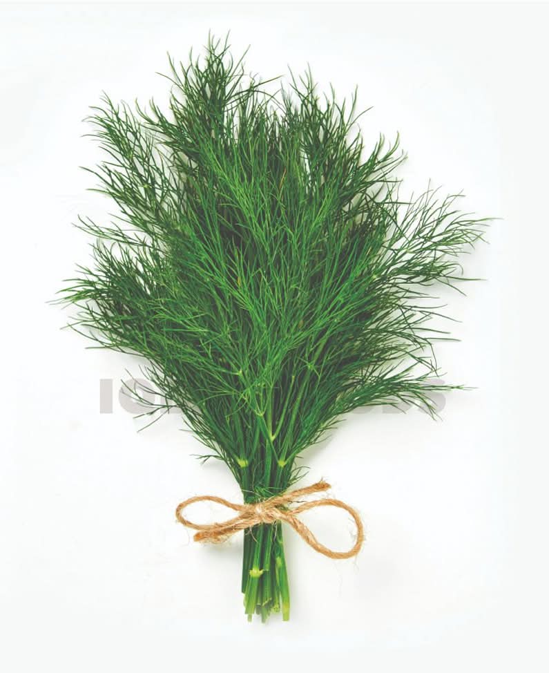 Dill Weed - Each