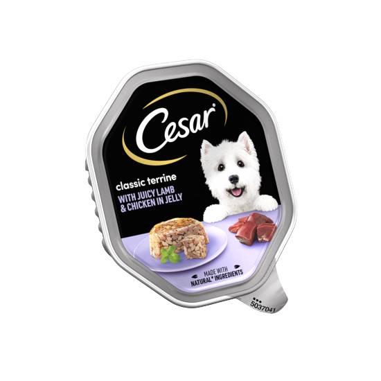 Cesar Classics Terrine Dog Food Tray Lamb Chicken in Jelly (150g)