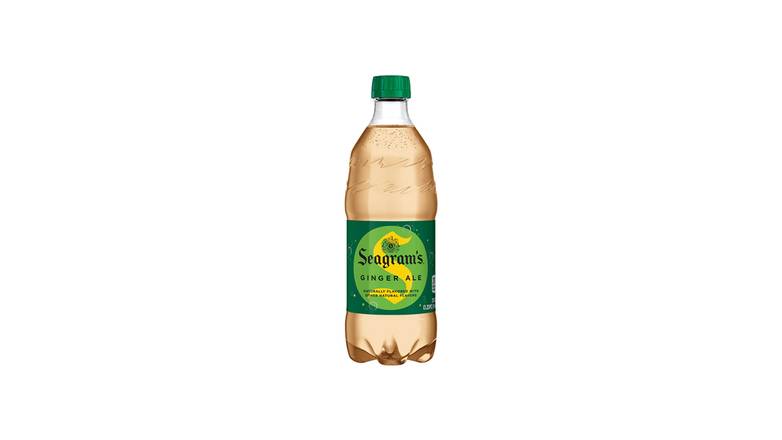 Ginger Ale (20oz Bottle)