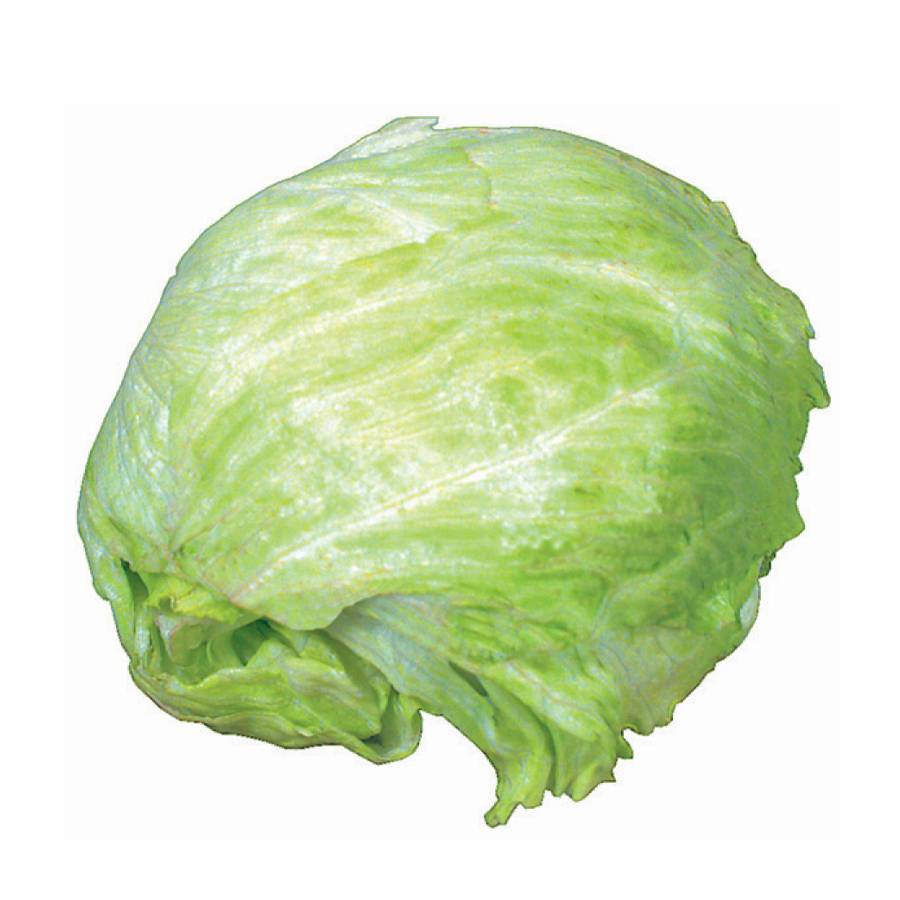 Large Iceberg Lettuce (1 ea)