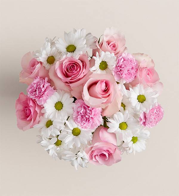 Daisy and Rose Delight Large Bouquet
