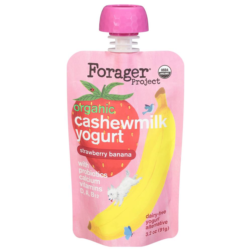 Forager Project Organic Cashewmilk Yogurt, Strawberry Banana (3.2 oz)