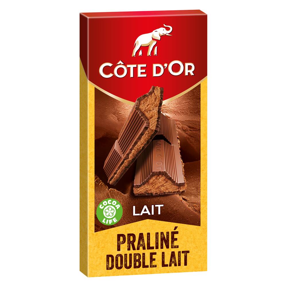 Côte d'Or - Chocolat au lait praliné (200g)