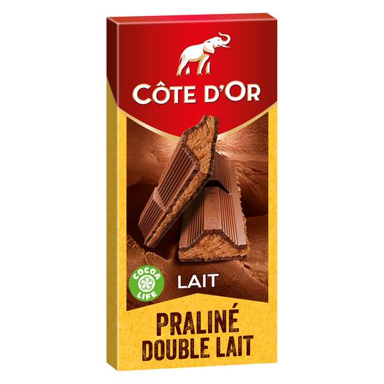 Côte D'or - Chocolat au lait praliné