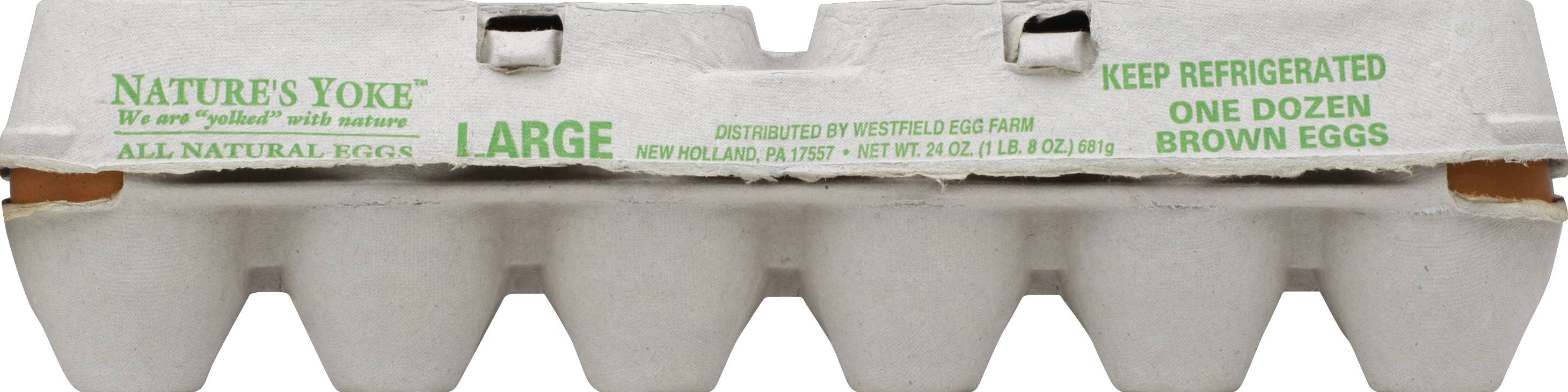 Nature's Yoke Large Brown Eggs (24 oz, 12 ct)