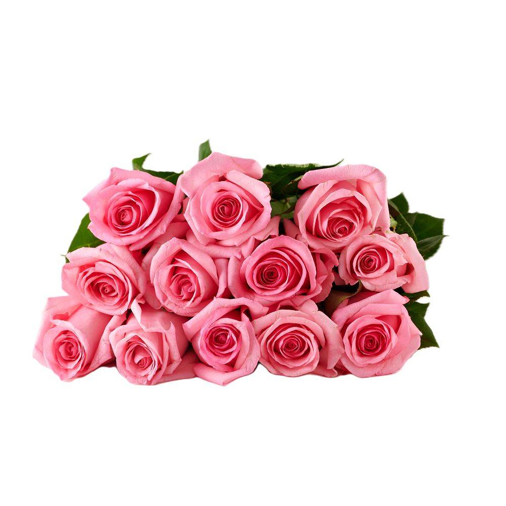 Dozen Pink Roses