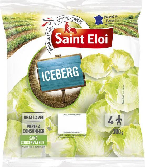Iceberg - saint eloi