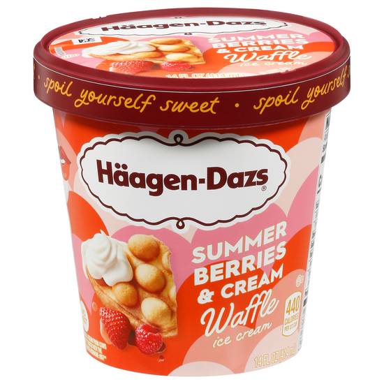 Häagen-Dazs Summer Berry Cake Pop Ice Cream
