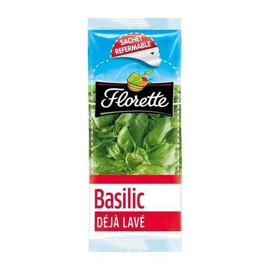 Florette basilic
