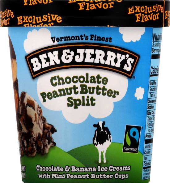 Ben & Jerry's Chocolate Peanut Butter Split Ice Cream (1 pint)