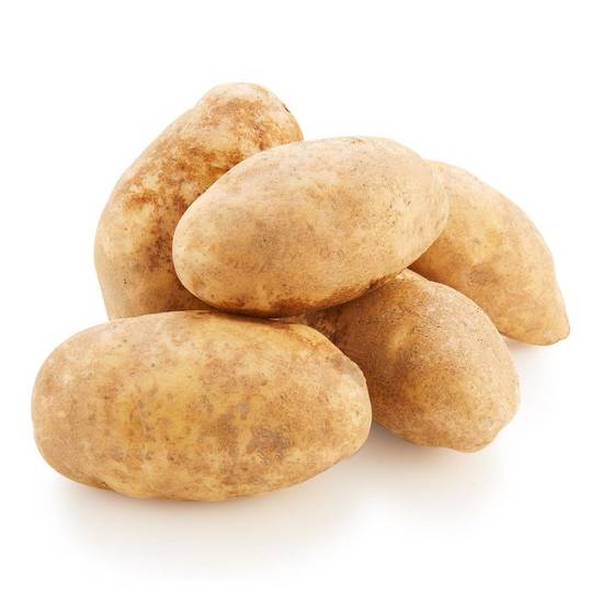 Nova pomme de terre blanche (4.54 kg (10lbs)) - white potato bag (4.54 kg)