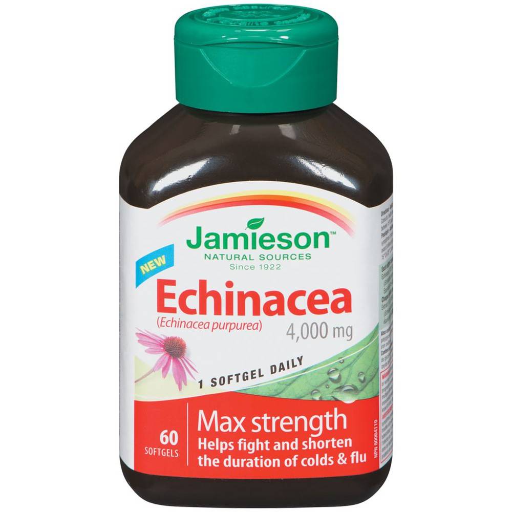 Jamieson Echinacea Max 4000 mg (60 ea)