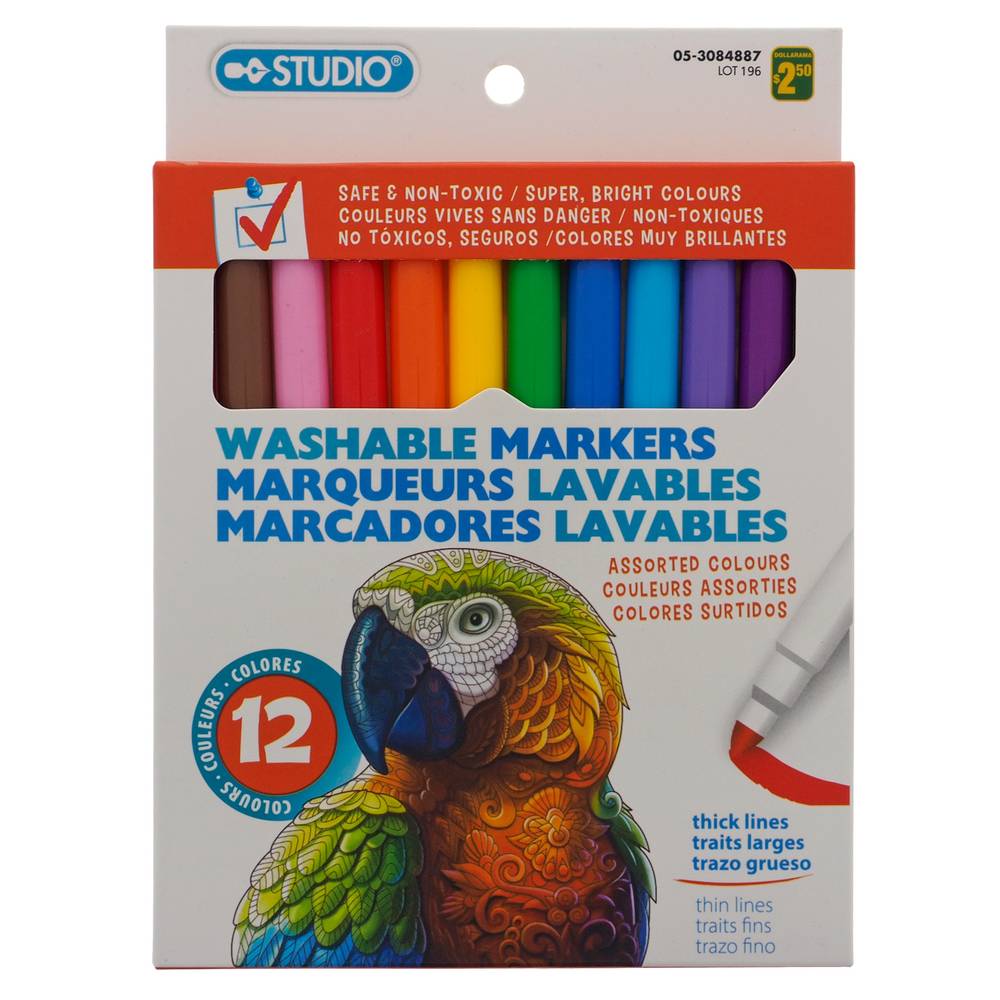 Studio marqueurs lavables (12 unités) (couleurs assorties)